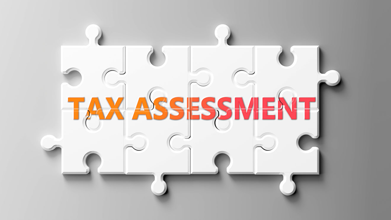 Scrutinise your tax auto-assessment before accepting it