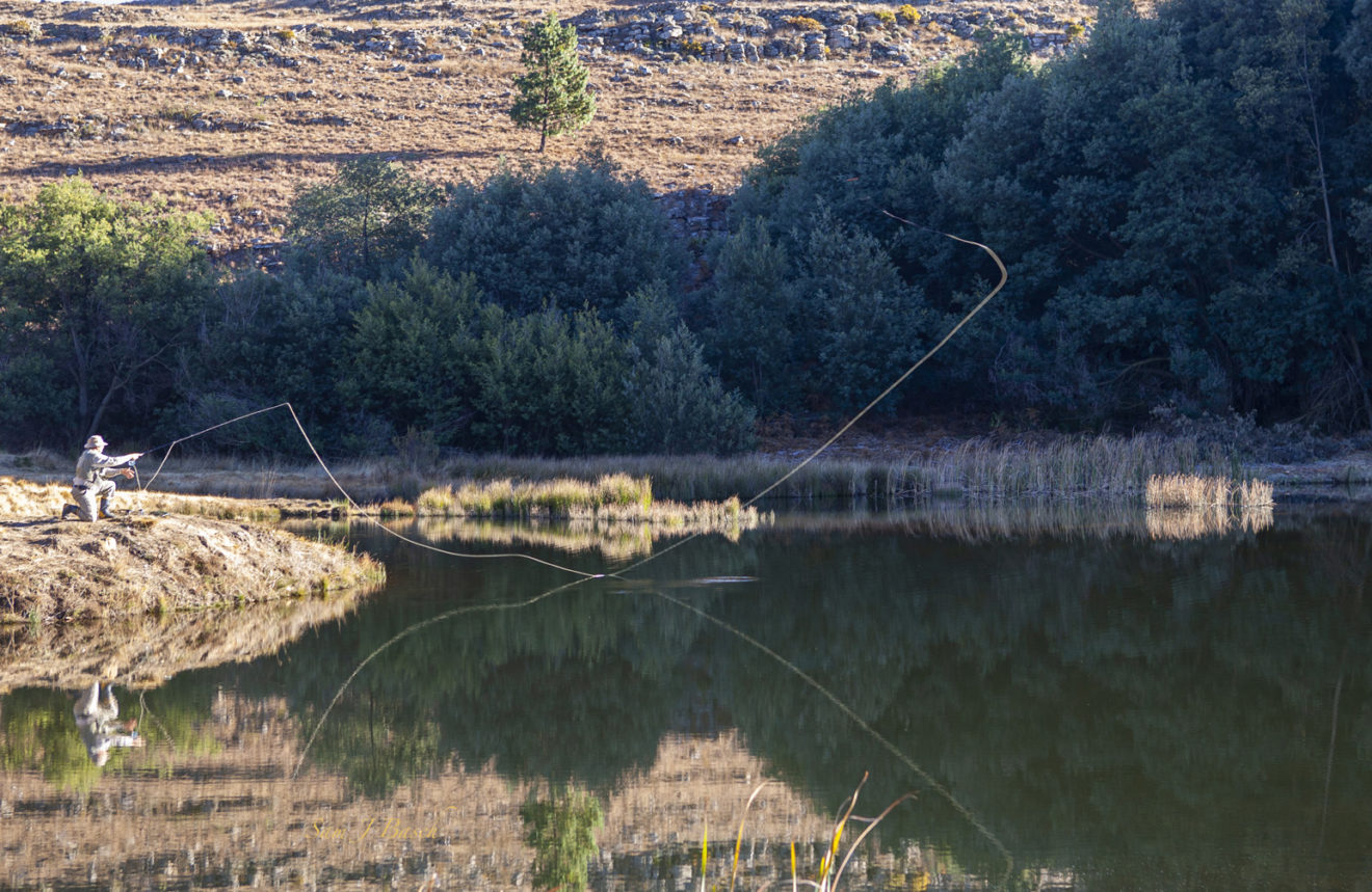 The allure of trout and flyfishing