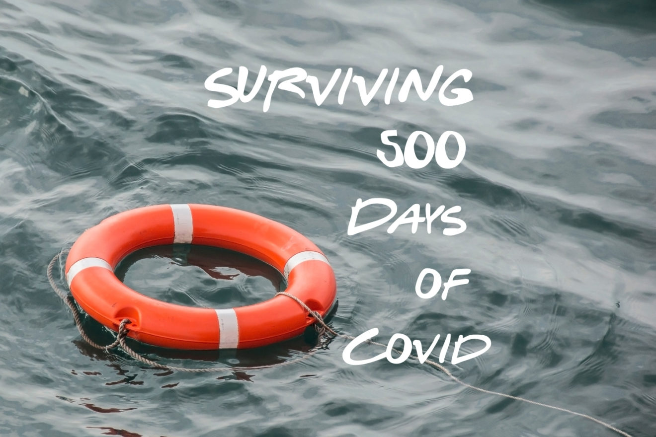 lifebelt on water, text surviving 500 days of Covid