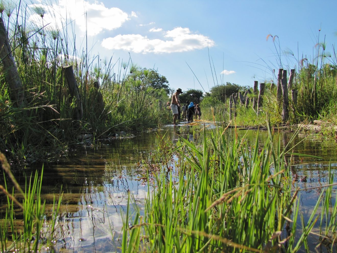 Third Bridge at Moremi Game Reserve